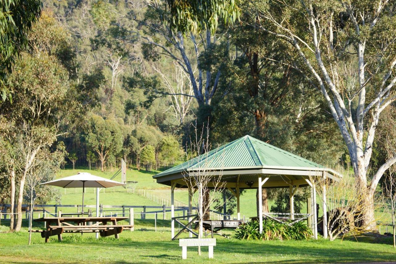 Halls On Falls Homestead Strath Creek Exterior foto